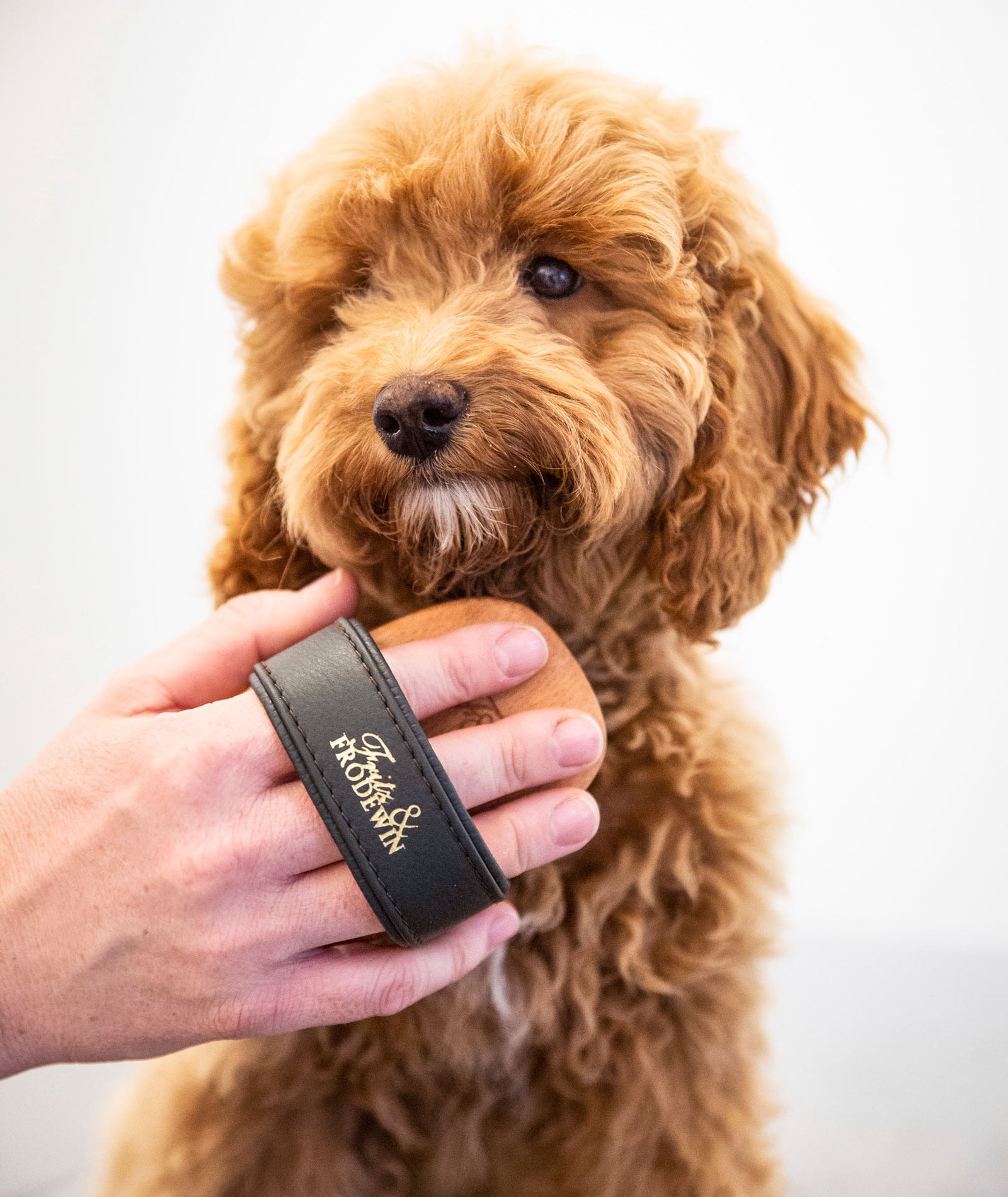 GROOM PROFESSIONAL Unterwoll-Striegel Aus Holz - Perfekte Hundebürste Für Langhaarige & Doppelhaarige Rassen